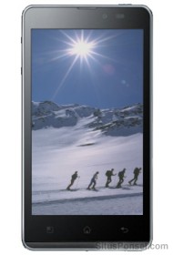 LG Optimus LTE Tag