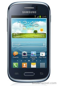 Samsung Galaxy Young S6310